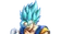 Super Saiyan Blue Vegito