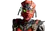 Sektor