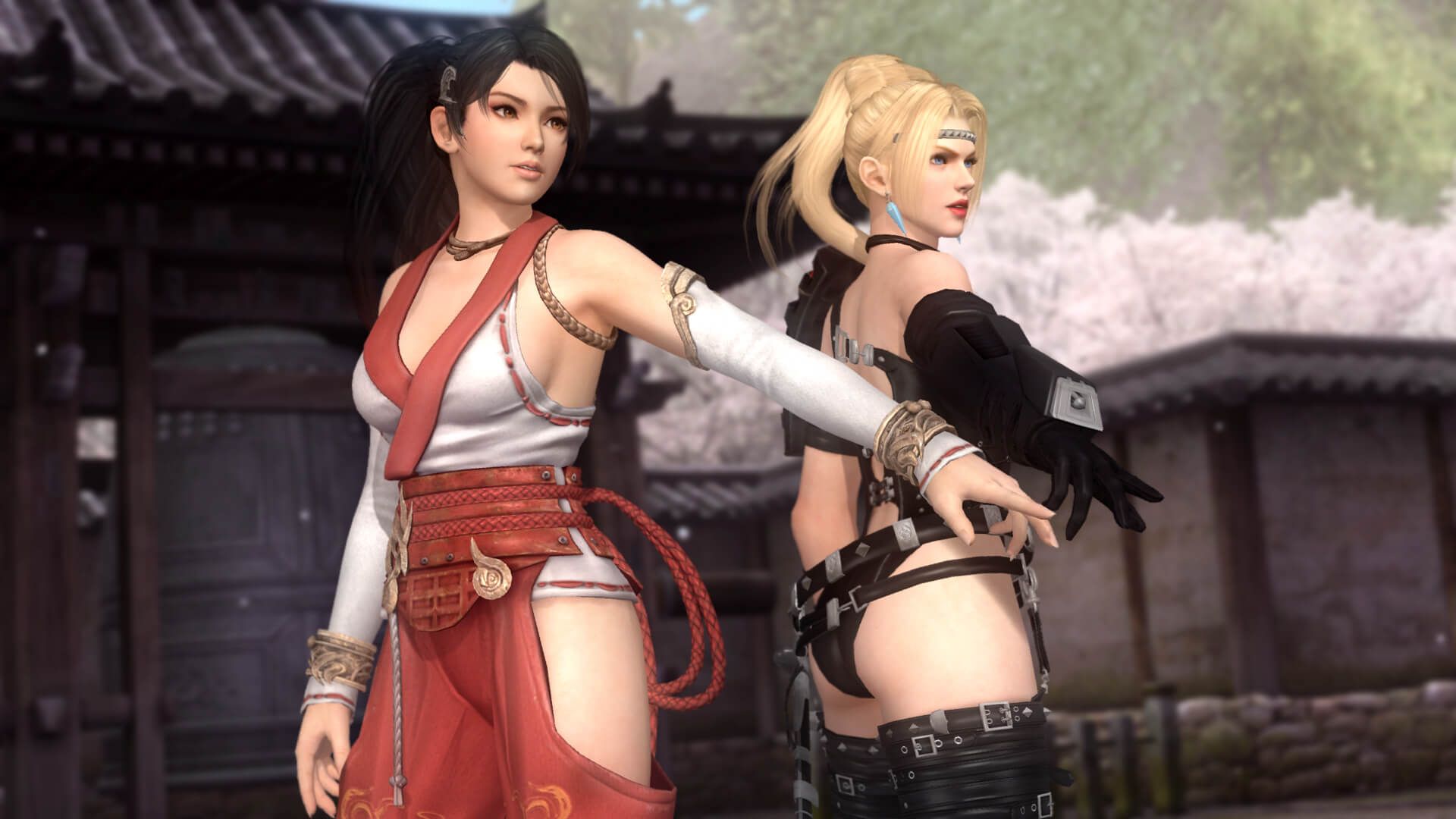 Dead Or Alive Reboot Announced