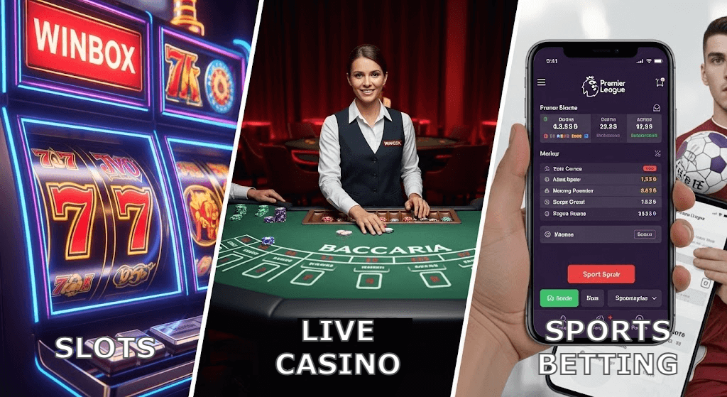 Winbox Malaysia: APK Download, Login & Games Overview | DashFight