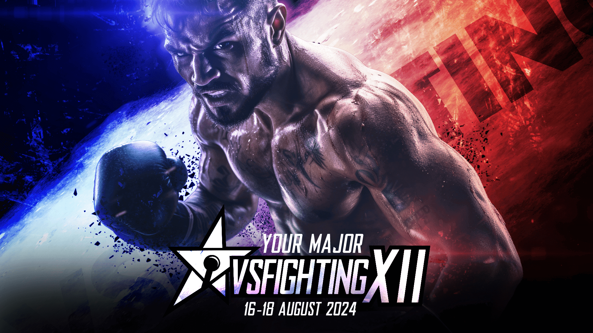 VSFighting Is Coming Back in August