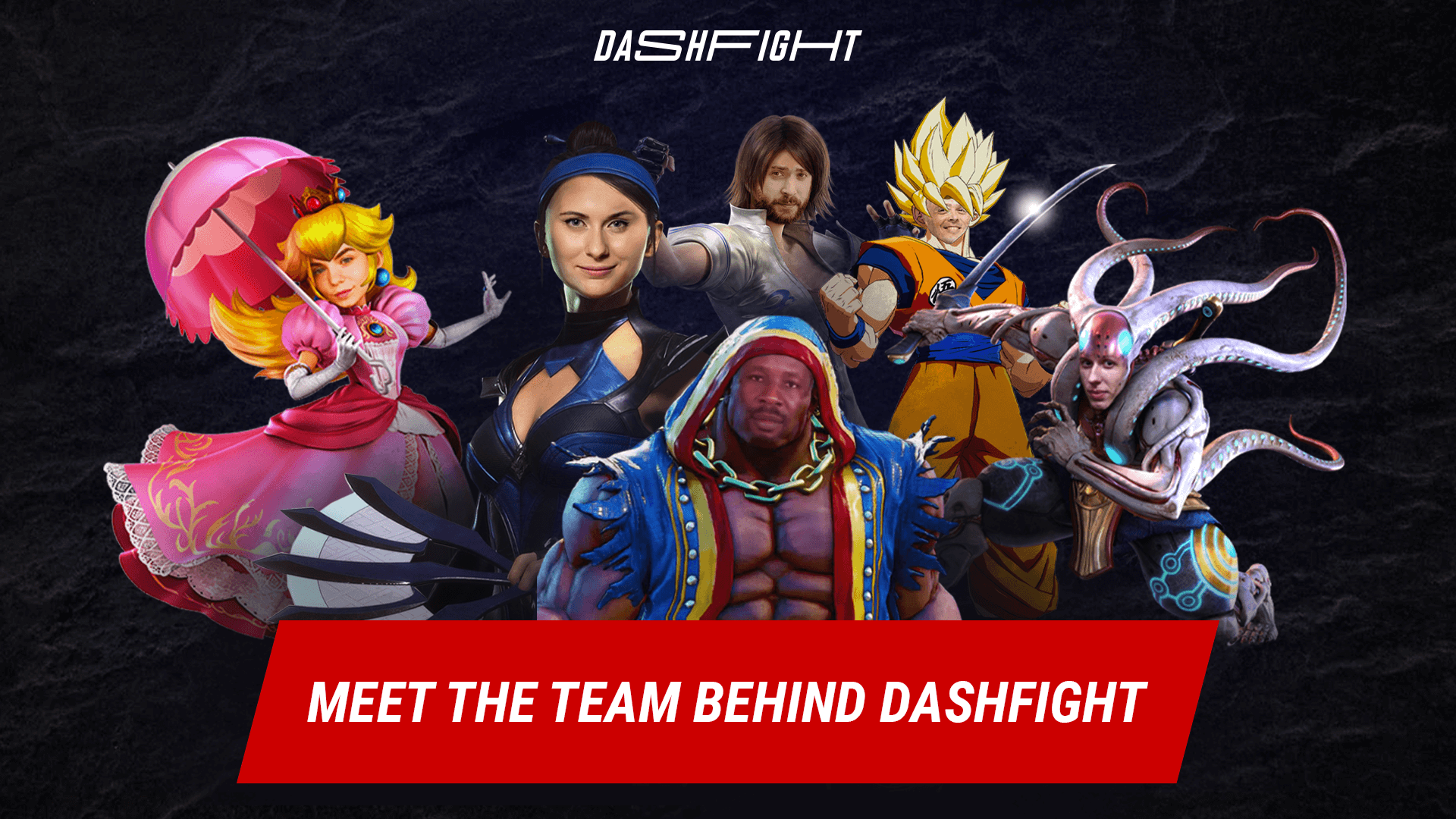 Meet The DashFight Family